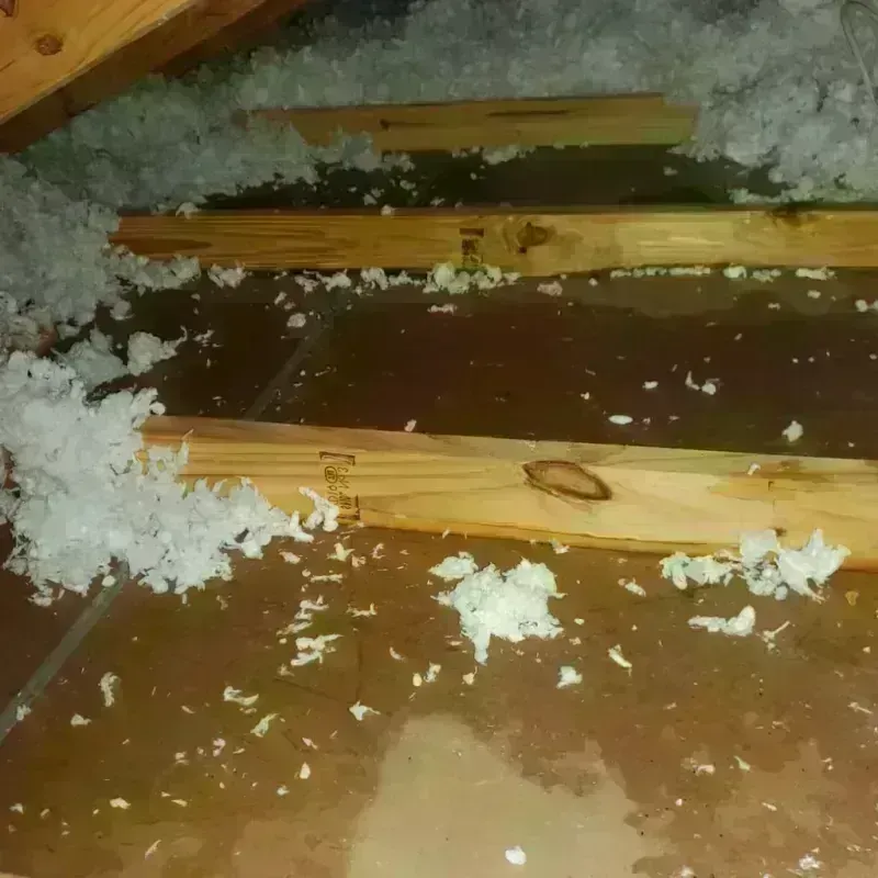 Attic Water Damage in Wichita County, TX