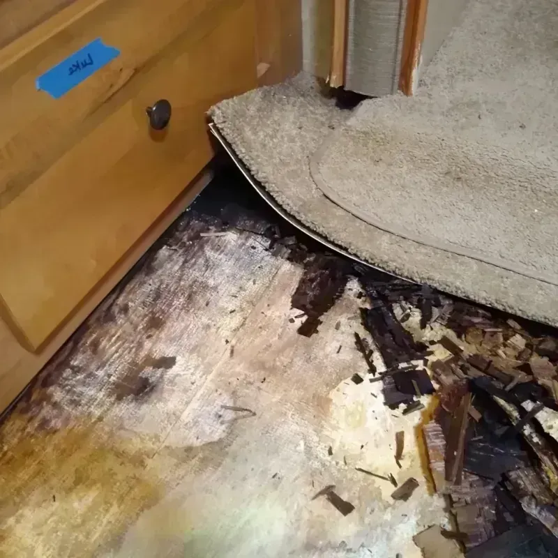 Wood Floor Water Damage in Wichita County, TX